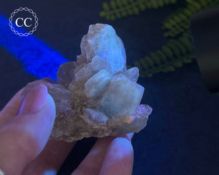 Selenite Cluster - UV Reactive #2