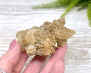 Selenite Cluster - UV Reactive #3