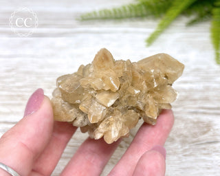 Selenite Cluster - UV Reactive #3