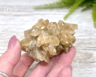 Selenite Cluster - UV Reactive #3