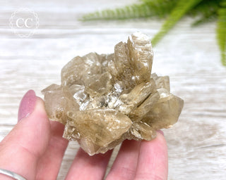 Selenite Cluster - UV Reactive #2