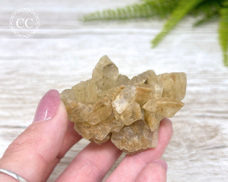 Selenite Cluster - UV Reactive #4