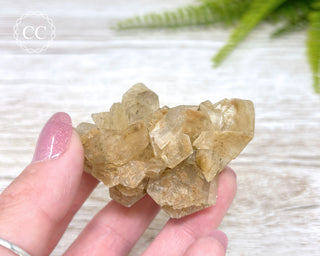 Selenite Cluster - UV Reactive #4