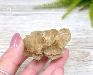 Selenite Cluster - UV Reactive #4