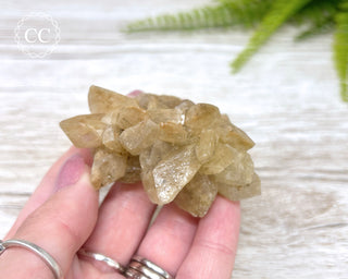 Selenite Cluster - UV Reactive #4