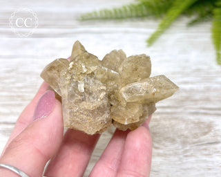 Selenite Cluster - UV Reactive #4