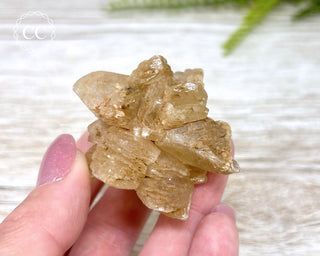 Selenite Cluster - UV Reactive #5