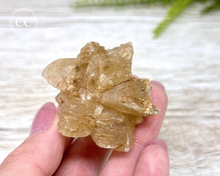 Selenite Cluster - UV Reactive #5