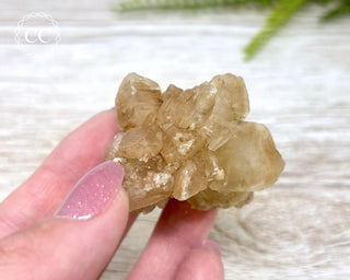 Selenite Cluster - UV Reactive #5