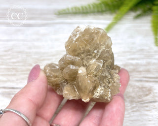 Selenite Cluster - UV Reactive #2