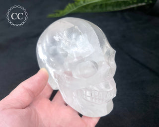 Selenite Skull #1