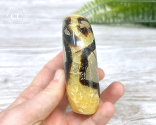 Septarian Freeform #19