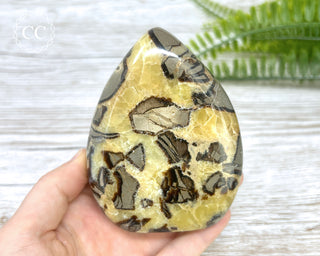 Septarian Freeform #3