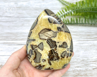 Septarian Freeform #3