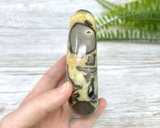 Septarian Freeform #3