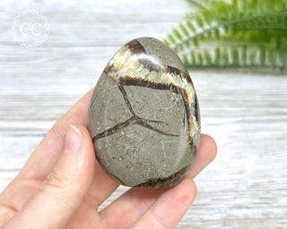 Septarian Freeform #5