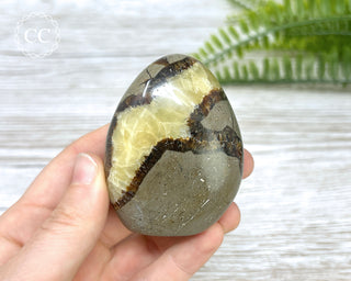 Septarian Freeform #5