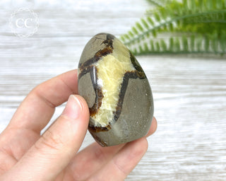 Septarian Freeform #5