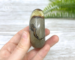 Septarian Freeform #5