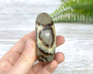 Septarian Freeform #5