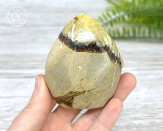 Septarian Freeform #6