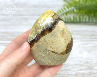 Septarian Freeform #6