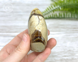 Septarian Freeform #6