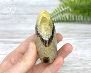 Septarian Freeform #6