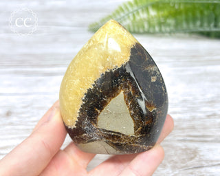Septarian Freeform #24