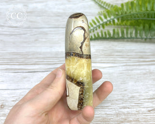 Septarian Freeform #1