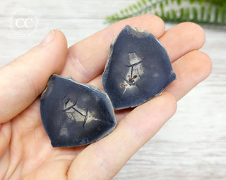 Septarian Nodule Pair #9