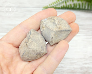 Septarian Nodule Pair #9