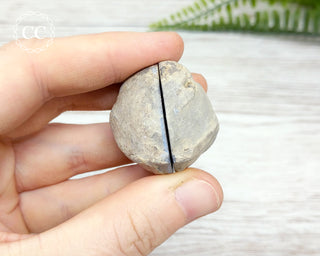 Septarian Nodule Pair #9