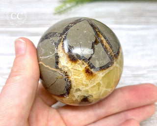 Septarian Sphere #2