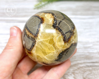 Septarian Sphere #2