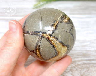 Septarian Sphere #2