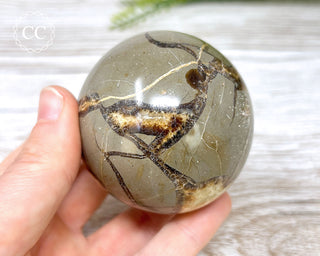 Septarian Sphere #2