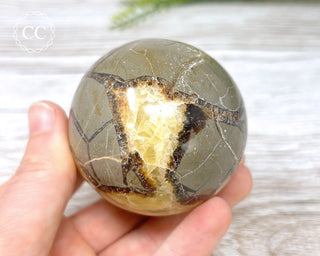 Septarian Sphere #2