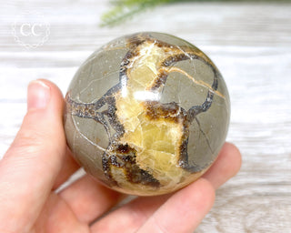 Septarian Sphere #2