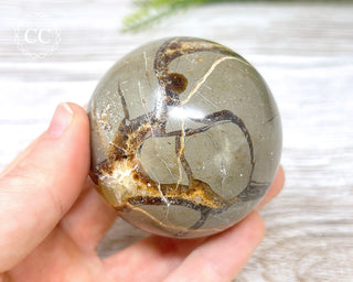 Septarian Sphere #2