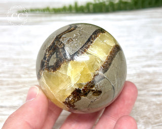 Septarian Sphere #1