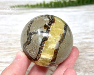 Septarian Sphere #1