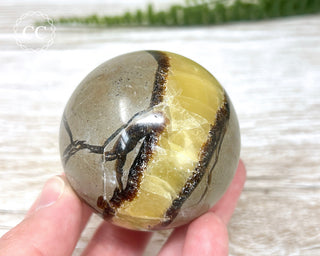 Septarian Sphere #1