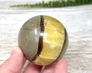 Septarian Sphere #1