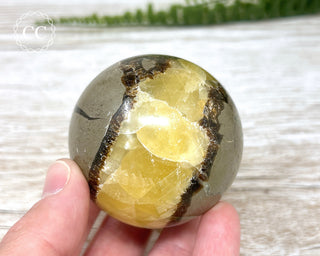 Septarian Sphere #1