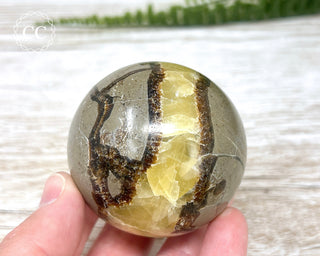 Septarian Sphere #1