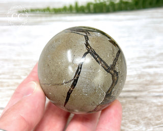 Septarian Sphere #1