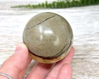 Septarian Sphere #1