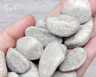 Silver Aventurine| Silver Mica Tumbled Crystal