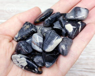 Silver Leaf Jasper Tumbled Crystal
